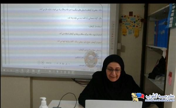 پیش دبستان و دبستان نیکا - منطقه 7 - سهروردی